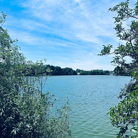 In Regim Bükreş