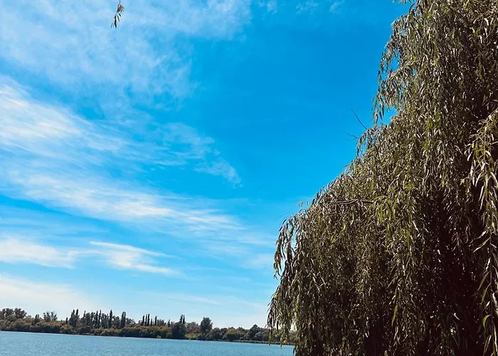 Апартаменти In Regim