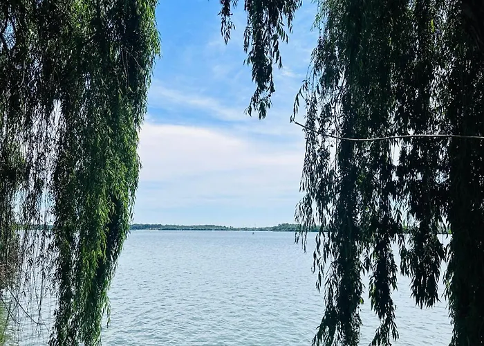 In Regim * Бухарест