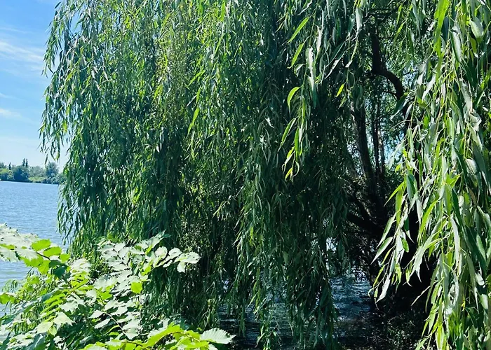 In Regim Бухарест